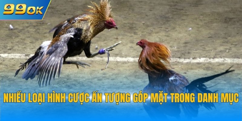 Đá Gà 99OK 3 Nhiều loại hình giải trí ấn tượng góp mặt trong danh mục